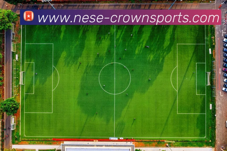 皇冠体育集团服务体系