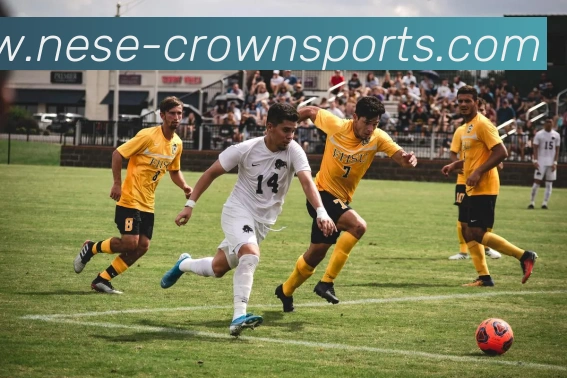 皇冠体育集团APP 体育赛事宣传图